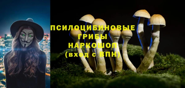 тгк Баксан